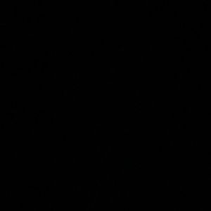 Meet your Posher, Bailey